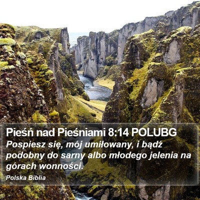 Pieśń nad Pieśniami 8:14 POLUBG Bible Verse Image