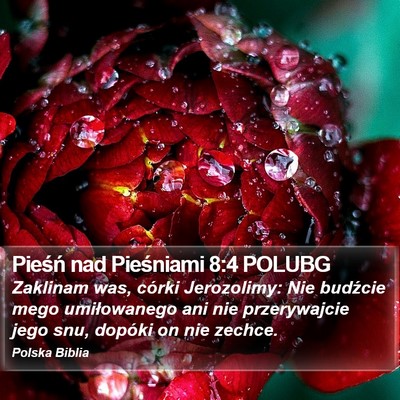 Pieśń nad Pieśniami 8:4 POLUBG Bible Verse Image