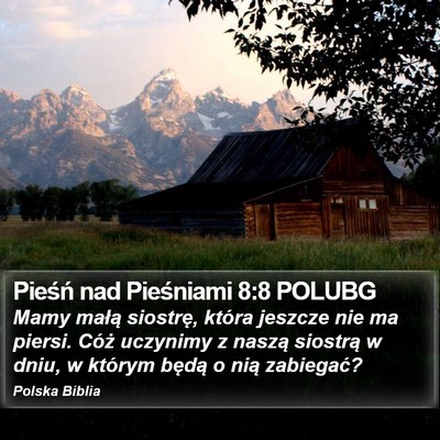 Pieśń nad Pieśniami 8:8 POLUBG Bible Verse Image