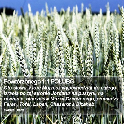Powtórzonego 1:1 POLUBG Bible Verse Image