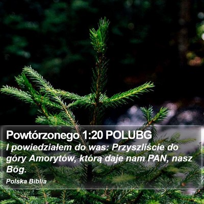 Powtórzonego 1:20 POLUBG Bible Verse Image