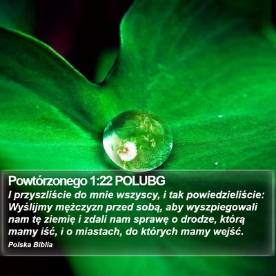 Powtórzonego 1:22 POLUBG Bible Verse Image