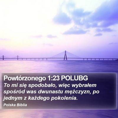 Powtórzonego 1:23 POLUBG Bible Verse Image