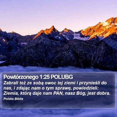 Powtórzonego 1:25 POLUBG Bible Verse Image