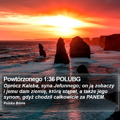 Powtórzonego 1:36 POLUBG Bible Verse Image