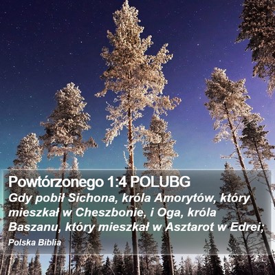 Powtórzonego 1:4 POLUBG Bible Verse Image