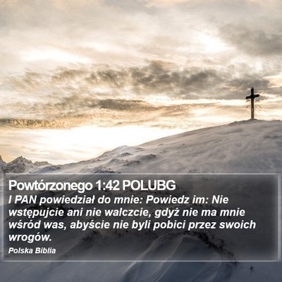 Powtórzonego 1:42 POLUBG Bible Verse Image