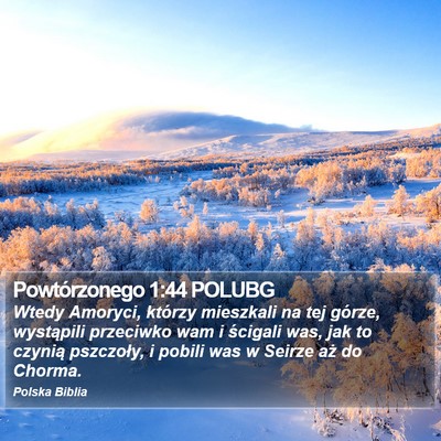 Powtórzonego 1:44 POLUBG Bible Verse Image