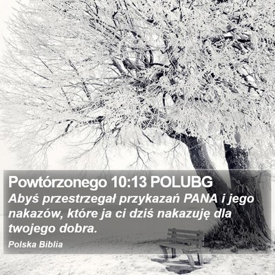 Powtórzonego 10:13 POLUBG Bible Verse Image