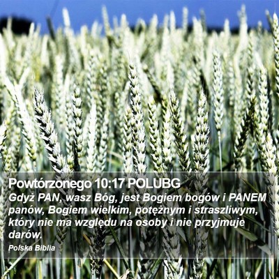 Powtórzonego 10:17 POLUBG Bible Verse Image