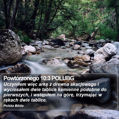 Powtórzonego 10:3 POLUBG Bible Verse Image