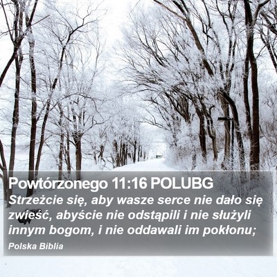 Powtórzonego 11:16 POLUBG Bible Verse Image