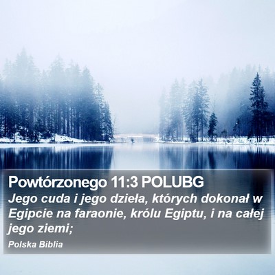 Powtórzonego 11:3 POLUBG Bible Verse Image