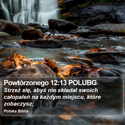 Powtórzonego 12:13 POLUBG Bible Verse Image