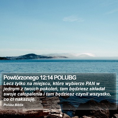 Powtórzonego 12:14 POLUBG Bible Verse Image