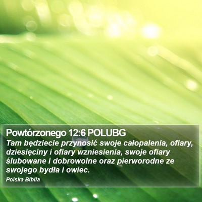 Powtórzonego 12:6 POLUBG Bible Verse Image