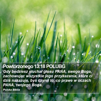 Powtórzonego 13:18 POLUBG Bible Verse Image
