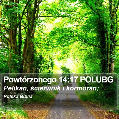 Powtórzonego 14:17 POLUBG Bible Verse Image