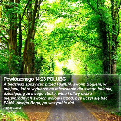 Powtórzonego 14:23 POLUBG Bible Verse Image