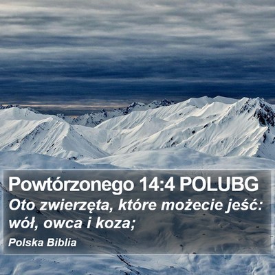 Powtórzonego 14:4 POLUBG Bible Verse Image