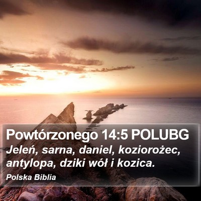 Powtórzonego 14:5 POLUBG Bible Verse Image