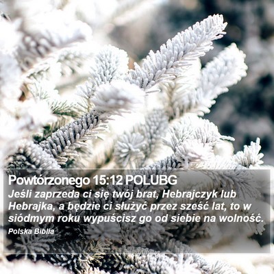 Powtórzonego 15:12 POLUBG Bible Verse Image