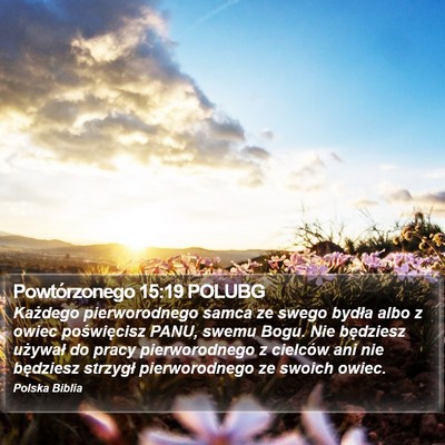 Powtórzonego 15:19 POLUBG Bible Verse Image