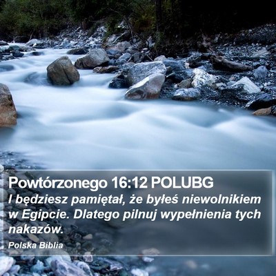 Powtórzonego 16:12 POLUBG Bible Verse Image