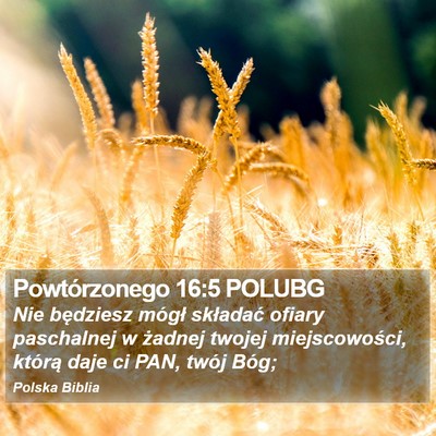 Powtórzonego 16:5 POLUBG Bible Verse Image