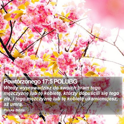 Powtórzonego 17:5 POLUBG Bible Verse Image