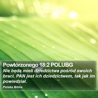 Powtórzonego 18:2 POLUBG Bible Verse Image