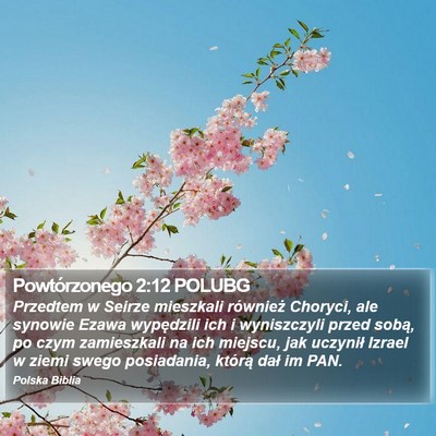 Powtórzonego 2:12 POLUBG Bible Verse Image