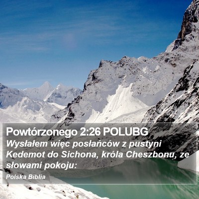 Powtórzonego 2:26 POLUBG Bible Verse Image