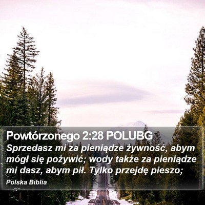 Powtórzonego 2:28 POLUBG Bible Verse Image
