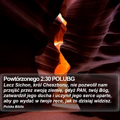 Powtórzonego 2:30 POLUBG Bible Verse Image