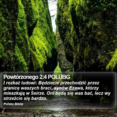 Powtórzonego 2:4 POLUBG Bible Verse Image