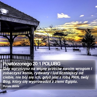 Powtórzonego 20:1 POLUBG Bible Verse Image