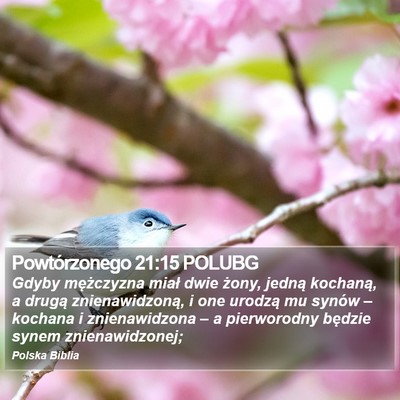 Powtórzonego 21:15 POLUBG Bible Verse Image