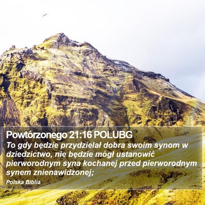 Powtórzonego 21:16 POLUBG Bible Verse Image