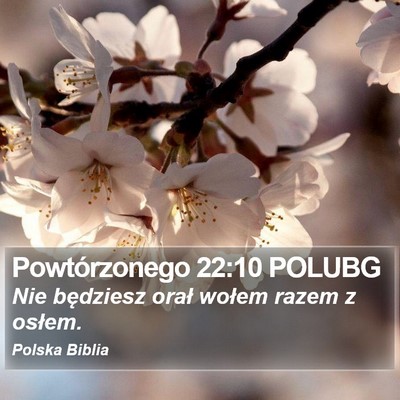 Powtórzonego 22:10 POLUBG Bible Verse Image