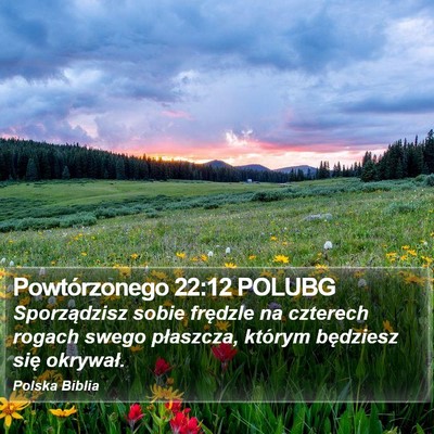 Powtórzonego 22:12 POLUBG Bible Verse Image