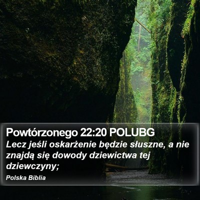 Powtórzonego 22:20 POLUBG Bible Verse Image