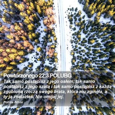 Powtórzonego 22:3 POLUBG Bible Verse Image