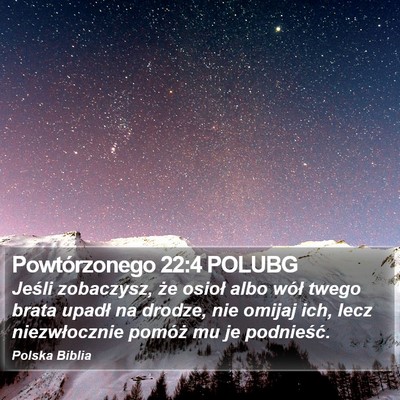 Powtórzonego 22:4 POLUBG Bible Verse Image