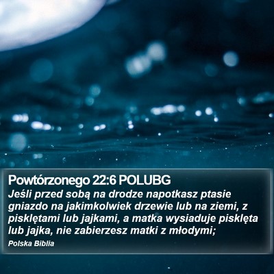 Powtórzonego 22:6 POLUBG Bible Verse Image