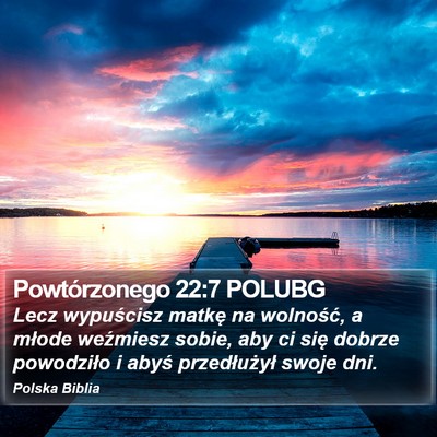 Powtórzonego 22:7 POLUBG Bible Verse Image