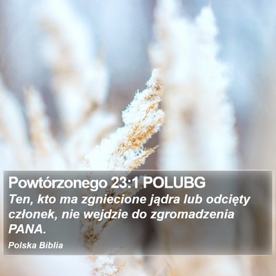 Powtórzonego 23:1 POLUBG Bible Verse Image