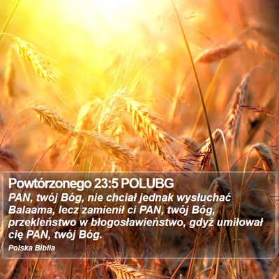 Powtórzonego 23:5 POLUBG Bible Verse Image