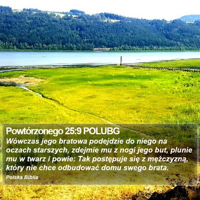 Powtórzonego 25:9 POLUBG Bible Verse Image