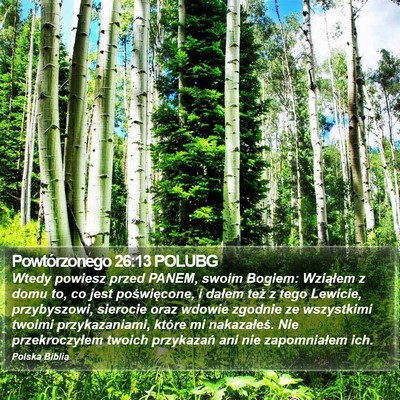 Powtórzonego 26:13 POLUBG Bible Verse Image